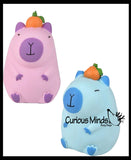 NEW - Capybara Stretchy Sand Filled - Lover Sensory Fidget Toy Weighted Cute Colorful Capys