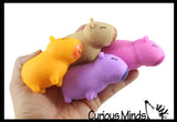 NEW - Capybara Realistic Stretchy Sand Filled - Lover Sensory Fidget Toy Weighted Cute Colorful Capys