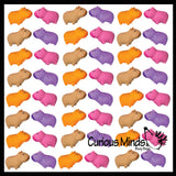 NEW - Capybara Realistic Stretchy Sand Filled - Lover Sensory Fidget Toy Weighted Cute Colorful Capys