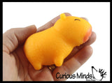 NEW - Capybara Realistic Stretchy Sand Filled - Lover Sensory Fidget Toy Weighted Cute Colorful Capys