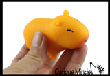 NEW - Capybara Realistic Stretchy Sand Filled - Lover Sensory Fidget Toy Weighted Cute Colorful Capys