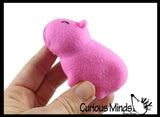 NEW - Capybara Realistic Stretchy Sand Filled - Lover Sensory Fidget Toy Weighted Cute Colorful Capys