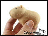 NEW - Capybara Realistic Stretchy Sand Filled - Lover Sensory Fidget Toy Weighted Cute Colorful Capys