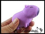 NEW - Capybara Realistic Stretchy Sand Filled - Lover Sensory Fidget Toy Weighted Cute Colorful Capys