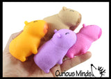 NEW - Capybara Realistic Stretchy Sand Filled - Lover Sensory Fidget Toy Weighted Cute Colorful Capys