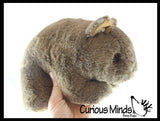 Plush Wombat Stuffed Animal Toy - Plushie Stuffie Australian