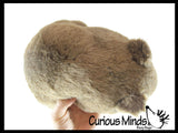 Plush Wombat Stuffed Animal Toy - Plushie Stuffie Australian