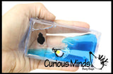 LAST CHANCE - LIMITED STOCK  - Penguins on a Wave - Moving Water -  Sensory, Stress, Fidget Toy